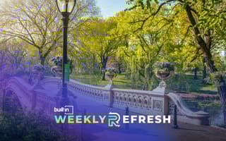 Bow Bridge in Central Park.