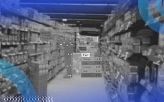 Data labeling computer vision interface labeling the system sees in a grocery store aisle