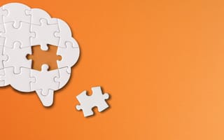 A puzzle depicting the brain.