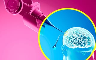 surgically-implanted brain chip