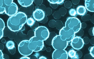 xenobots populating under a microscope view