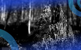 Eigendecomposition Explained Decomposition of a log.