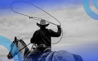 cowboy with lasso representing cowboy IT