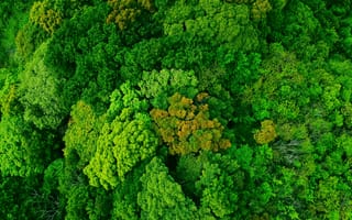 Building a Regenerative Future at Cisco and Cisco Meraki