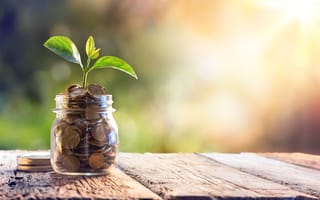 A money jar with a sprout growing out of it is pictured.