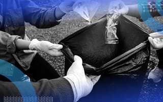 Team of people collecting garbage to put in trash bag