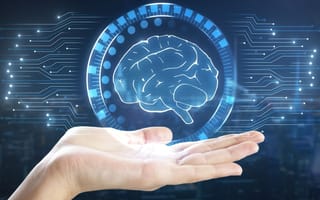 A person holds a hologram of a brain.