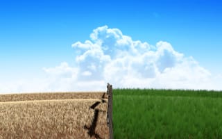 From Stuck to Thriving: Transforming a Career Path at Blueprint Test Prep