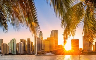 Photo of Miami skyline.