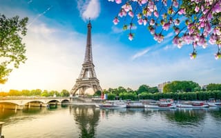 Photo of Eiffel Tower and Seine river.