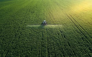 Crop field being farmed