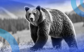 An LLM Is Like a Hungry Bear. Be Careful What You Feed It. A grizzly bear in a field