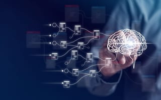 Engineer feeds data to an AI platform.