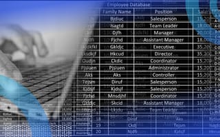 A user works on a database on a laptop