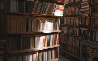 books on library shelves with light shining down on them