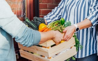 Person delivers fresh produce to a home.
