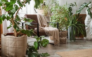 A chair sits in a room surrounded by a variety of different potted plants.