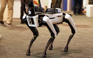 Robot Dogs