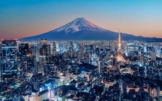 The Tokyo skyline is pictured.