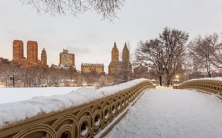 Photo: Shutterstock