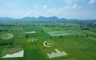 AI in Agriculture: How Is It Used? Artificial intelligence data is superimposed over an image of a farm field.