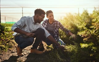 Two people crouch side-by-side examining crops in a sunlit greenhouse or covered farm field. One is a Black man who wears glasses. He holds a tablet and wears a button-down shirt and boots, while the other wears a flannel shirt and jeans. She is a dark-ha