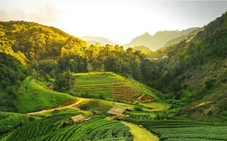 A view of the hills in rural Assam covered by greenery.
