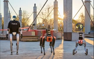 FieldAI robots.
