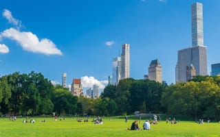 People gather together in Central Park in Manhattan on a sunny summer day