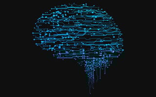 A digital image of a brain is pictured.