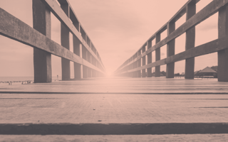 A bridge, shot from the ground.