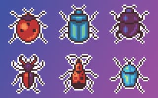 bug bounty