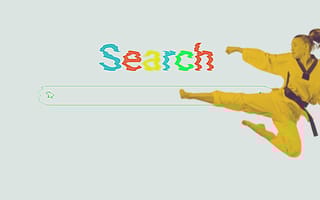 person doing martial arts, search engine martial arts