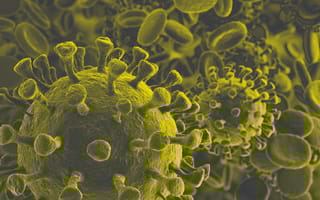 virus