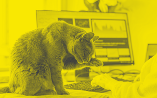 The Future of Work Is Flexible