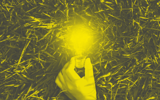 A lightbulb on grass