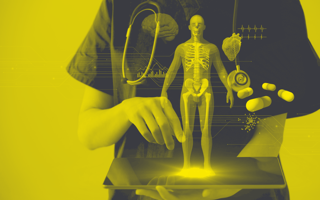 A doctor uses an iPad for work