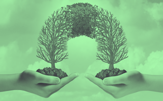 How No-Code Tools Can Bridge the Gap Between Business Ops and IT Teams Hands holding trees that come together to form a bridge.