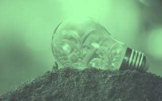 Lightbulb with plants inside sitting on dirt.