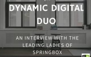 The Leading Ladies of Austin Digital Agency, Springbox
