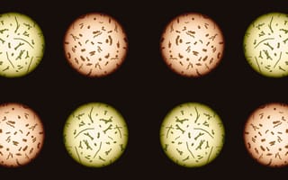 fmt microbiome therapeutics header
