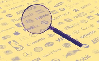 hed brand audit