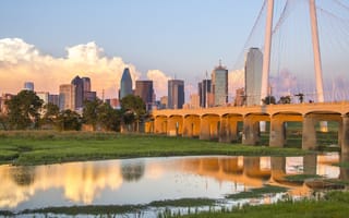 largest companies in dallas