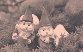 two gnomes standing in a patch of grass