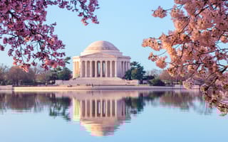 marketing agencies in DC