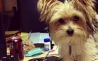 The 5 coolest perks of working for Austin's tech startups