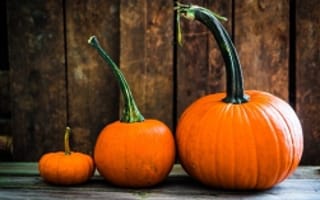 5 Tasks to Tackle at the Start of Fall