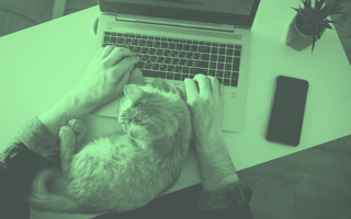 How Do You Know If a Company Has a Good Remote Work Culture?