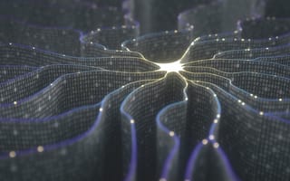 network of digital neurons dispersing in multiple directions
