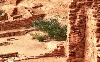 artificial-intelligence-archaeology